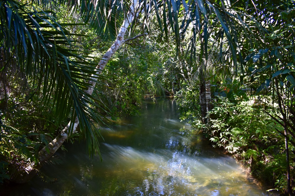 DSC 0208