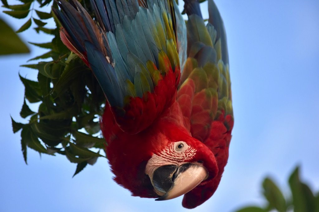 DSC_0439.jpg